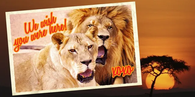 Lion Habitat Ranch Admission Ticket in Las Vegas