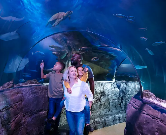 Sea Life Blackpool