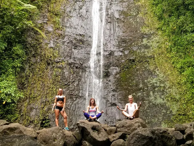 Manoa Waterfall Hike with Waikiki Pickup & Healthy Lunch