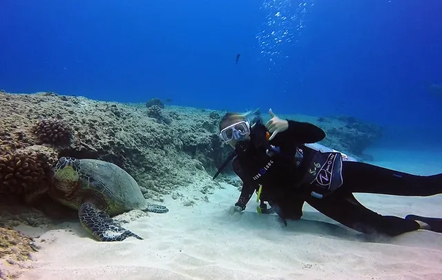 Beginner Scuba Diving Experience with Video Package in Honolulu