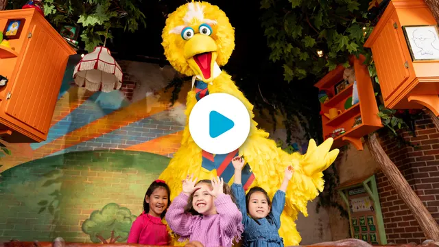 Sesame Street Learn & Play