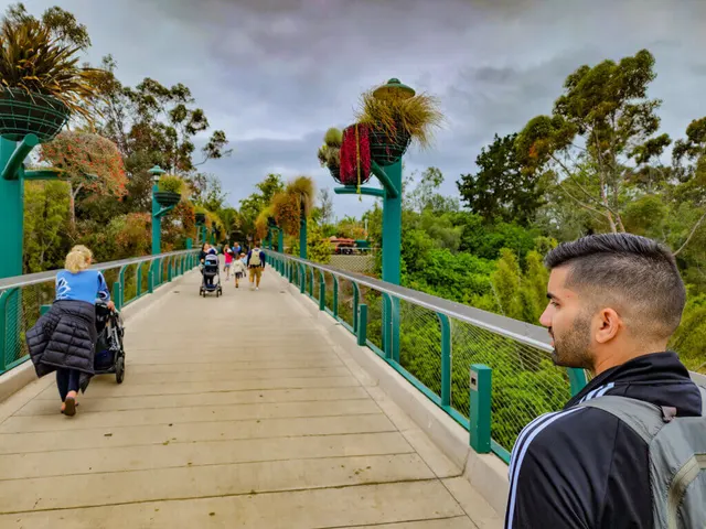 Exploring the Wonders of San Diego Zoo