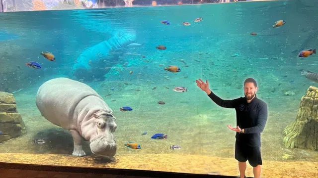 Adventure Aquarium