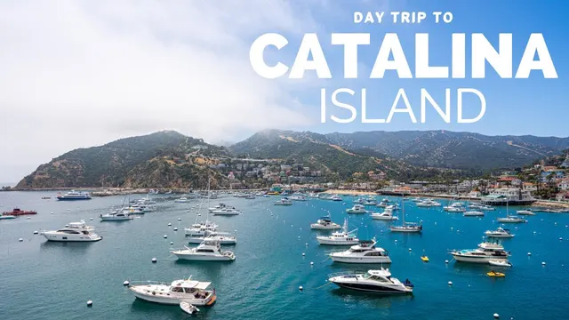 Avalon Enchantment: Nature, History & Gourmet Delights Tour