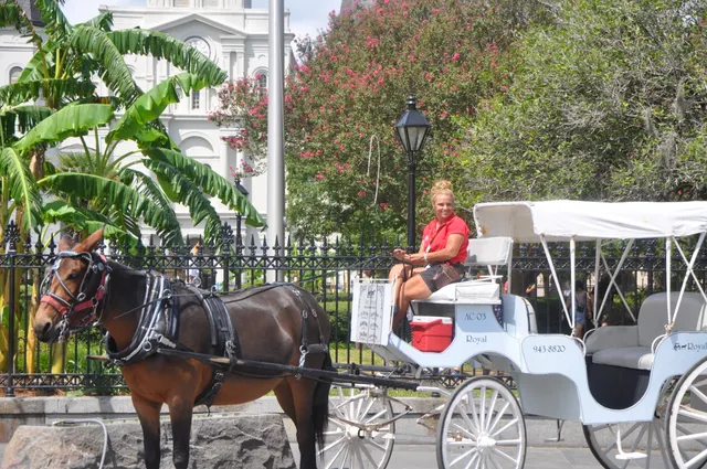 New Orleans French Quarter and More Carriage Ride