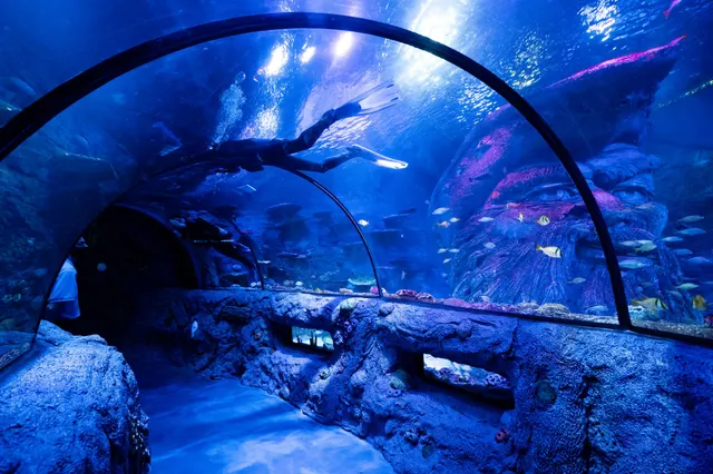 San Antonio Aquarium