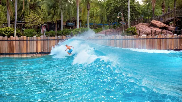 Disney's Typhoon Lagoon Water Park
