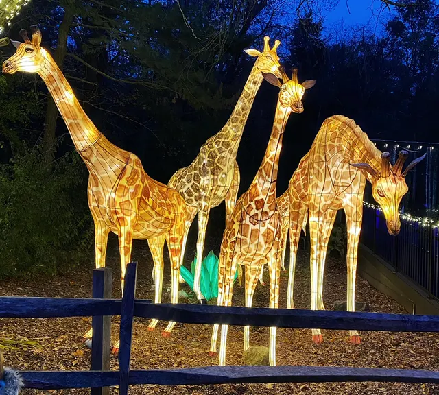 Stone Zoo: Zoo New England