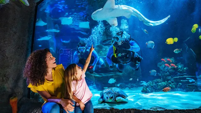 Sea Life Aquarium Dallas