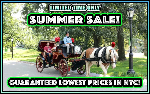 Official NYC Horse Carriage Rides in Central Park since 1979 ™