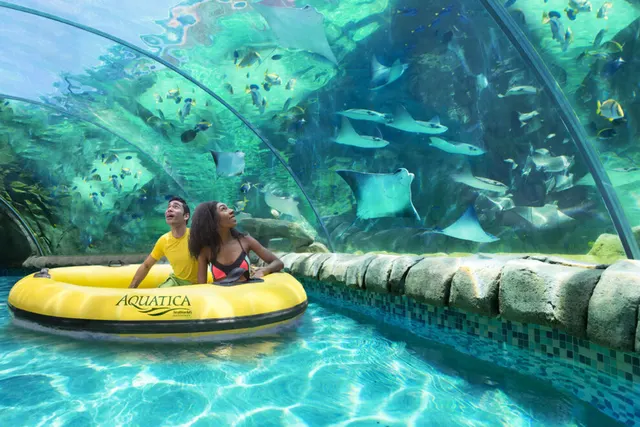 Aquatica San Antonio