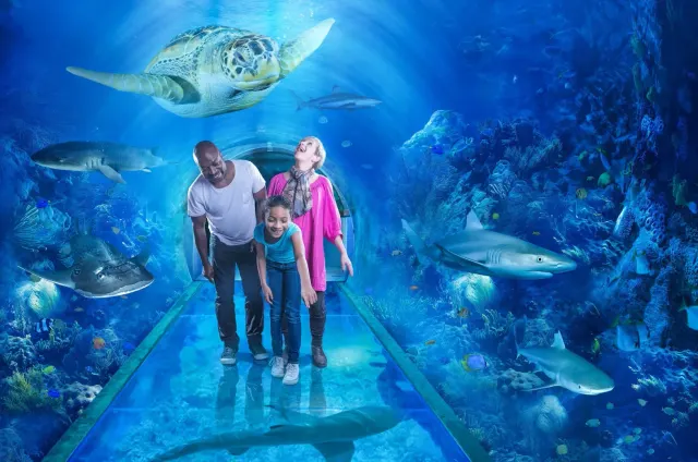 Sealife Birmingham