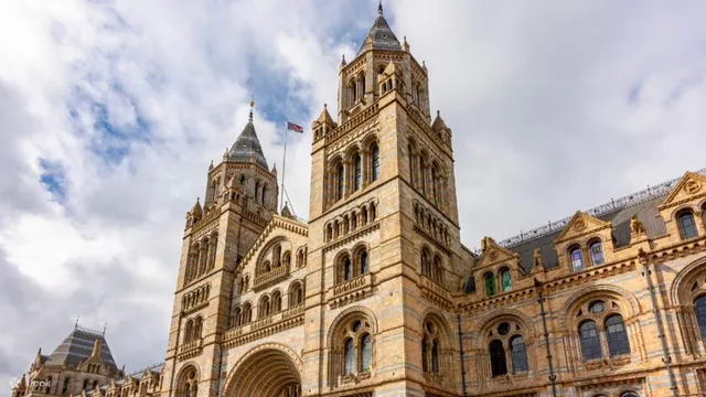A Day at the Museum - Natural History Museum London