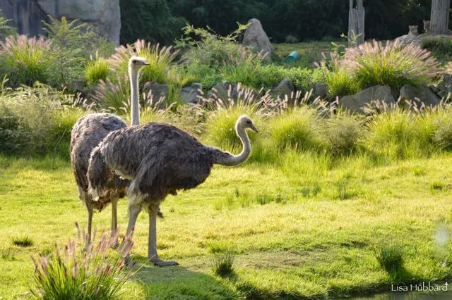 Cincinnati Zoo & Botanical Garden