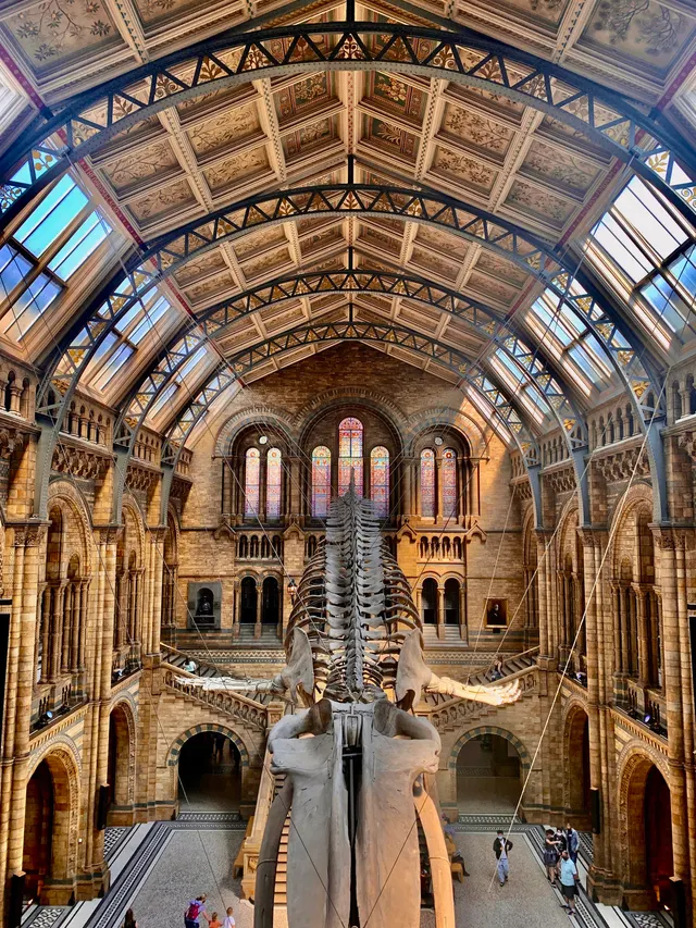 The Natural History Museum of London: Private Half-Day Tour