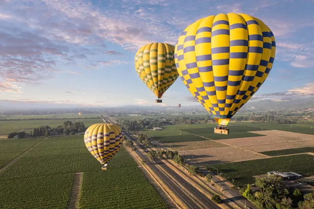 Above the Wine Country Balloons