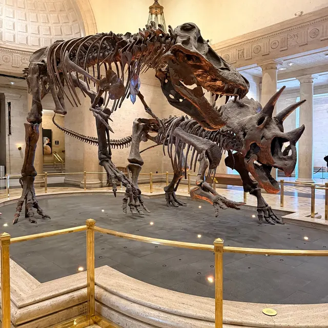 Natural History Museum of Los Angeles County Admission