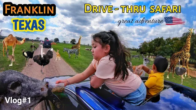 Franklin Drive Thru Safari