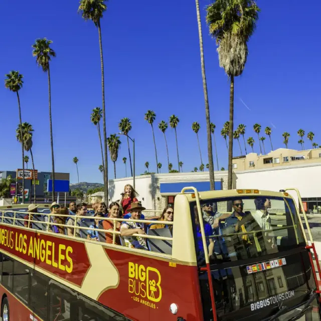 Big Bus Tours Los Angeles + Personalized Guide