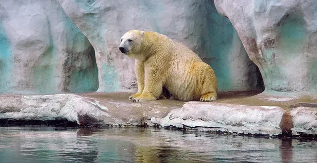 Toledo Zoo and Aquarium