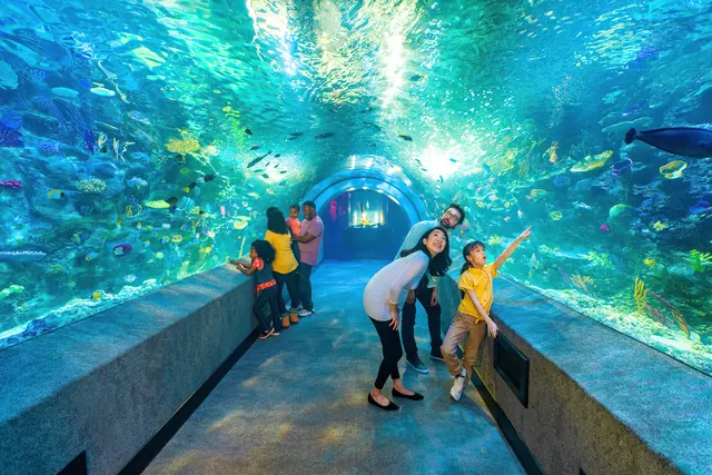 Newport Aquarium