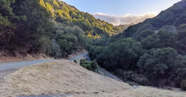 Secret Silicon Valley Hike