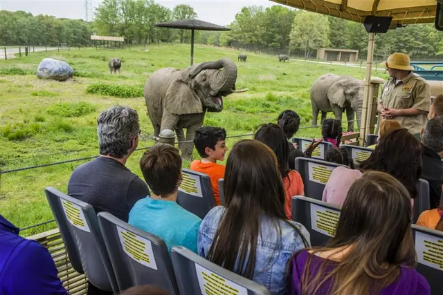 Six Flags Wild Safari