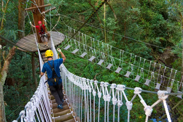 Big Island Kohala Canopy Zipline Adventure