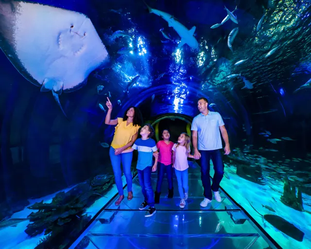 SEA LIFE Orlando