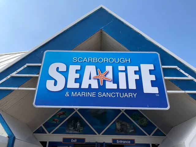 Sea Life Scarborough