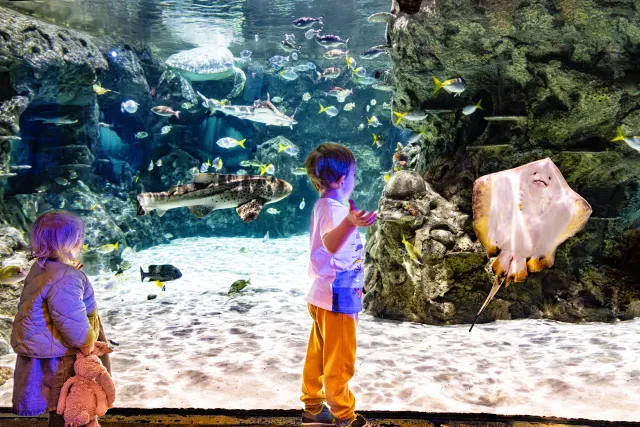 Sea Life Brighton