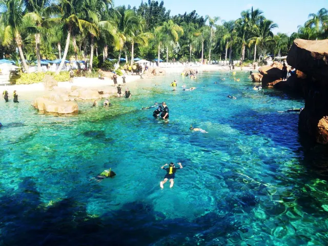 Discovery Cove, Orlando, FL