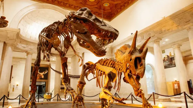 Natural History Museum of Los Angeles County Admission