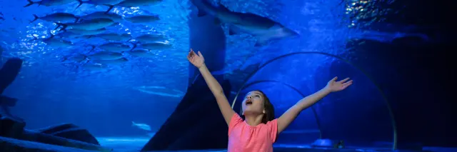 Sea Life Arizona