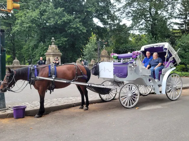 Official Private NYC Central Park Horse Carriage Ride Since 1970™