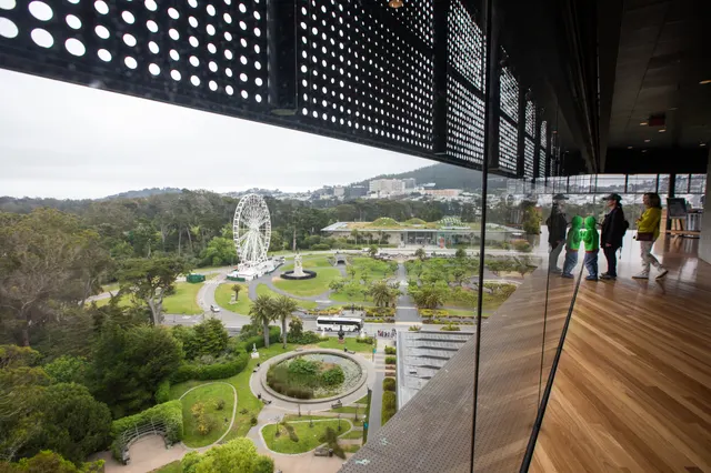 Hamon Observation Tower Tour