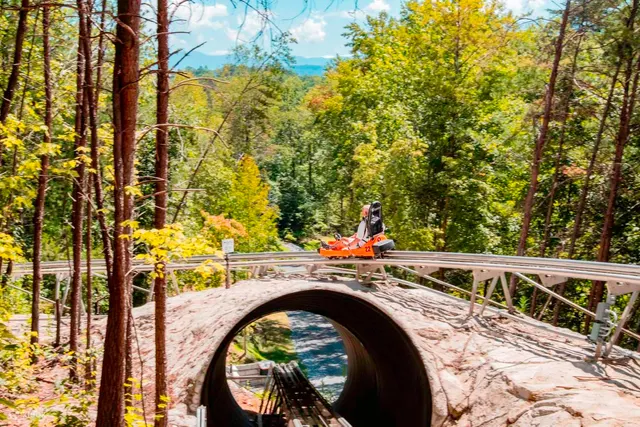 Rocky Top Mountain Coaster Admission Ticket in Pigeon Forge