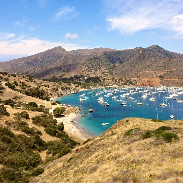 The Harbor Haven: A Journey of Joy, Nature, and Gastronomy Tour