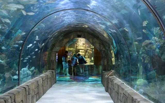 Audubon Aquarium and Insectarium Ticket