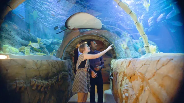 Sea Life Kansas City