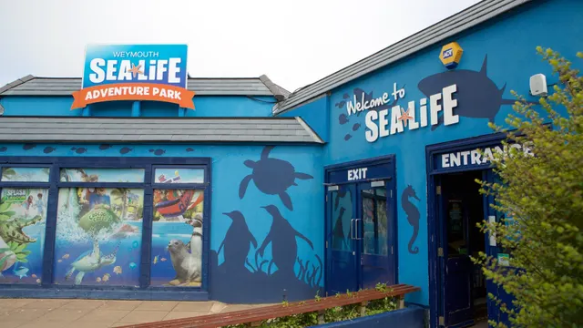 Sea Life Weymouth