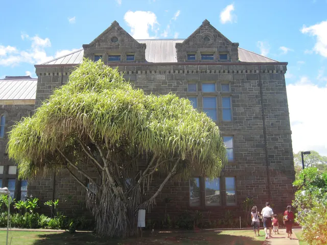 Bishop Museum General Admission Ticket