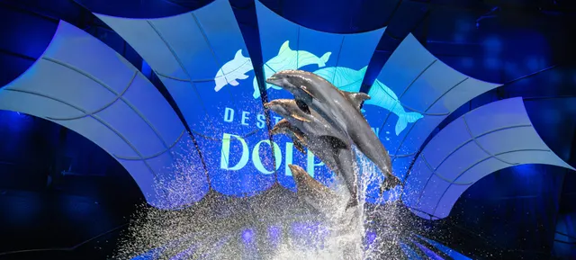 Georgia Aquarium