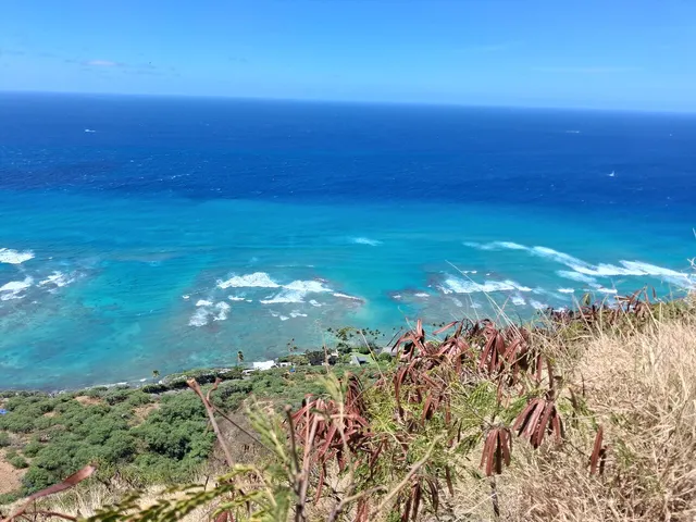Diamond Head Hike Shuttle with Reservation Tickets Included