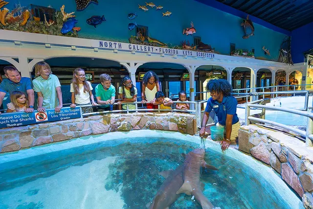 Key West Aquarium