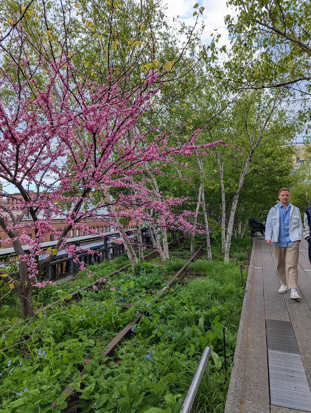 Access The High Line with the Essential Guide to the Garden in the Sky